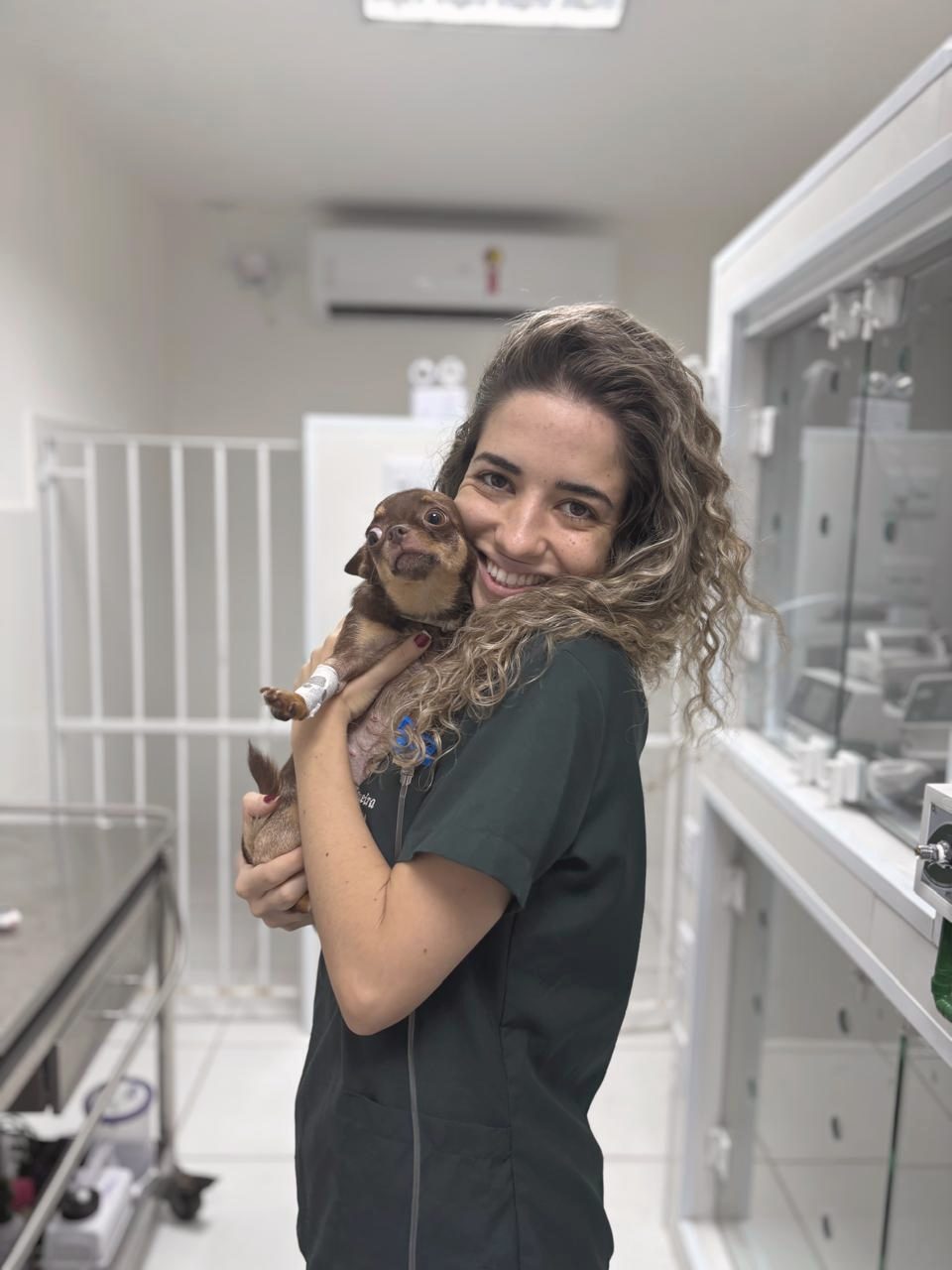 Dra. Lorena Siqueira com um chihuahua